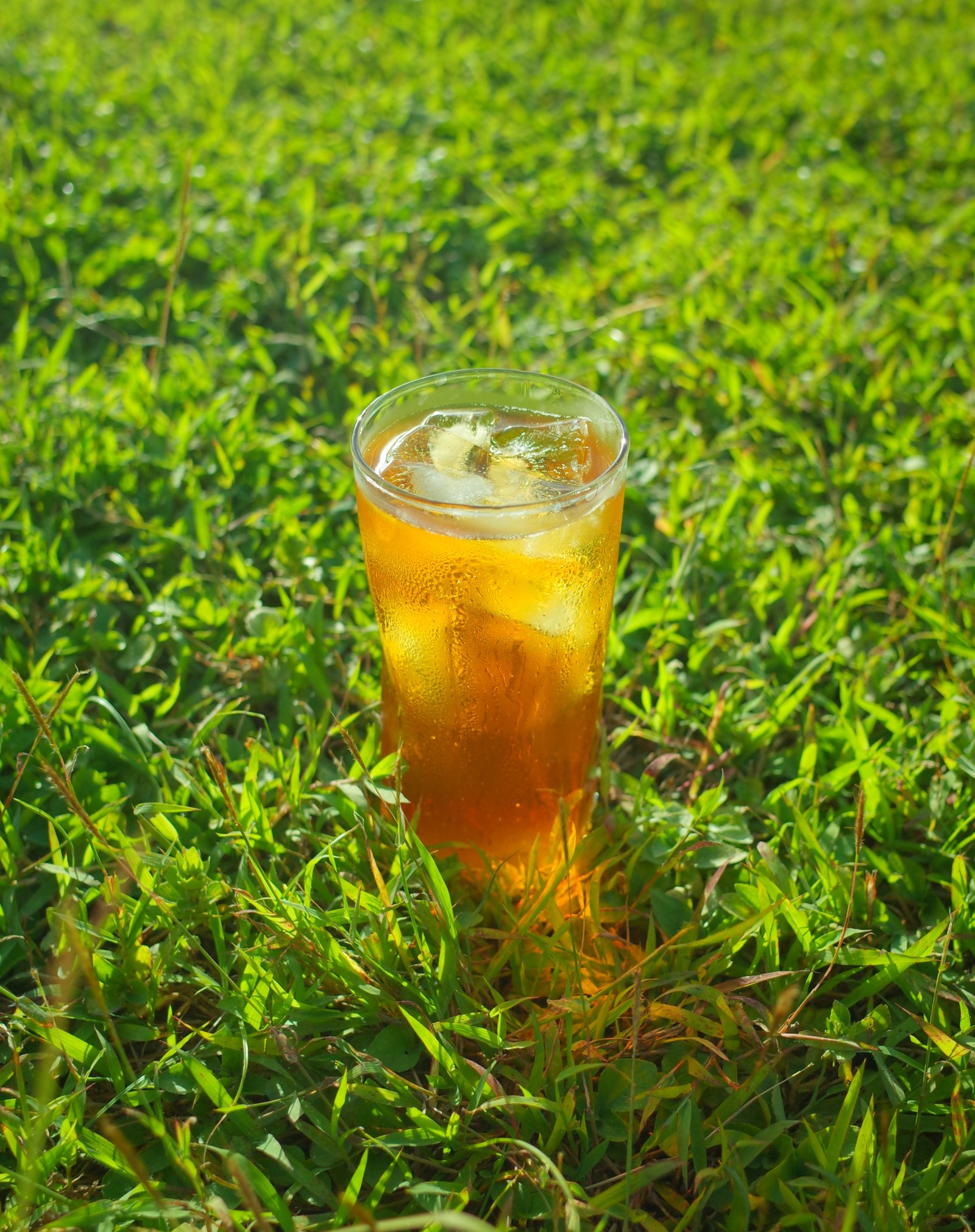 outdoorgrass