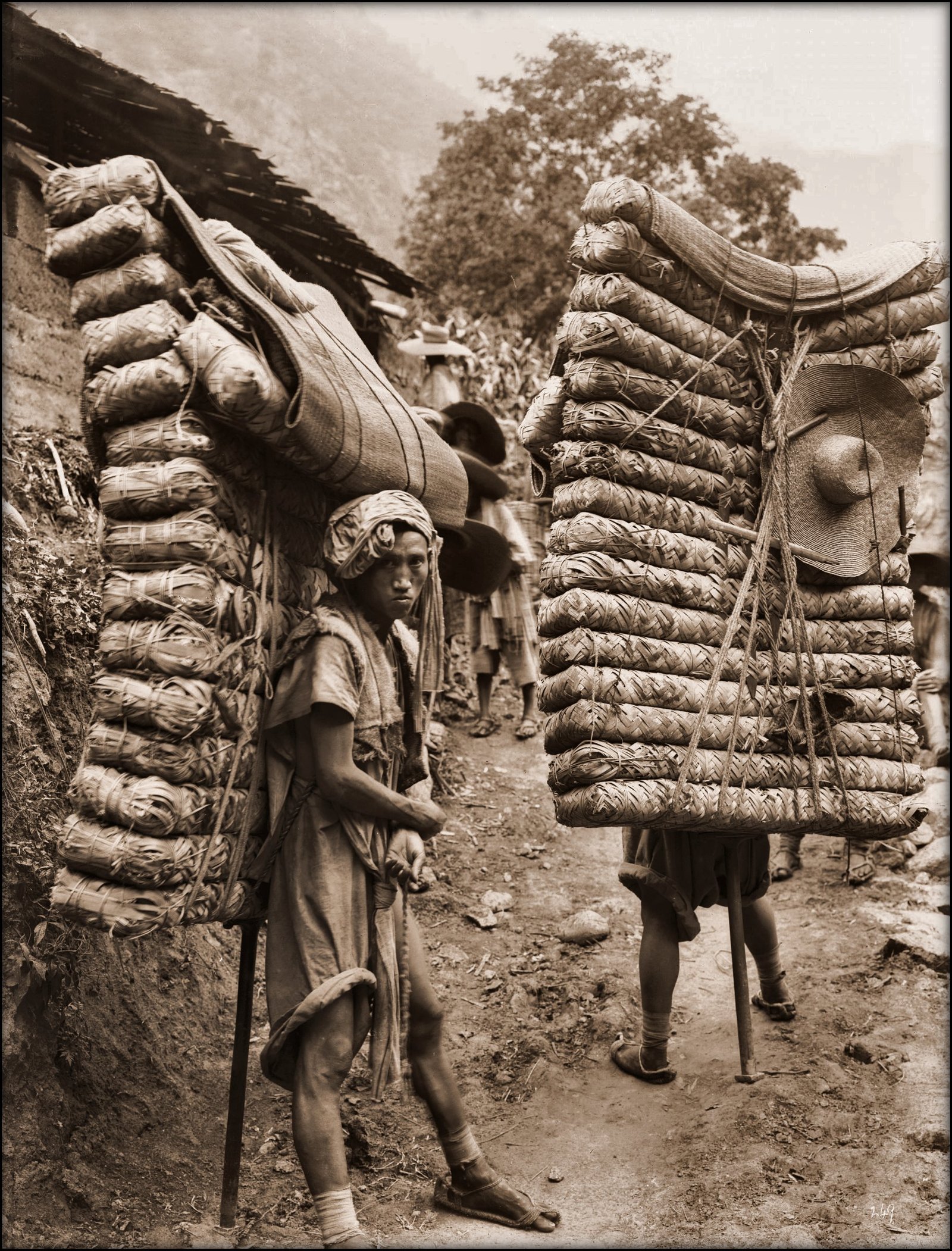 The Origins of Tea Porters carrying heavy loads of compressed tea bricks along the Ancient Tea Horse Road in Sichuan, China, 1908